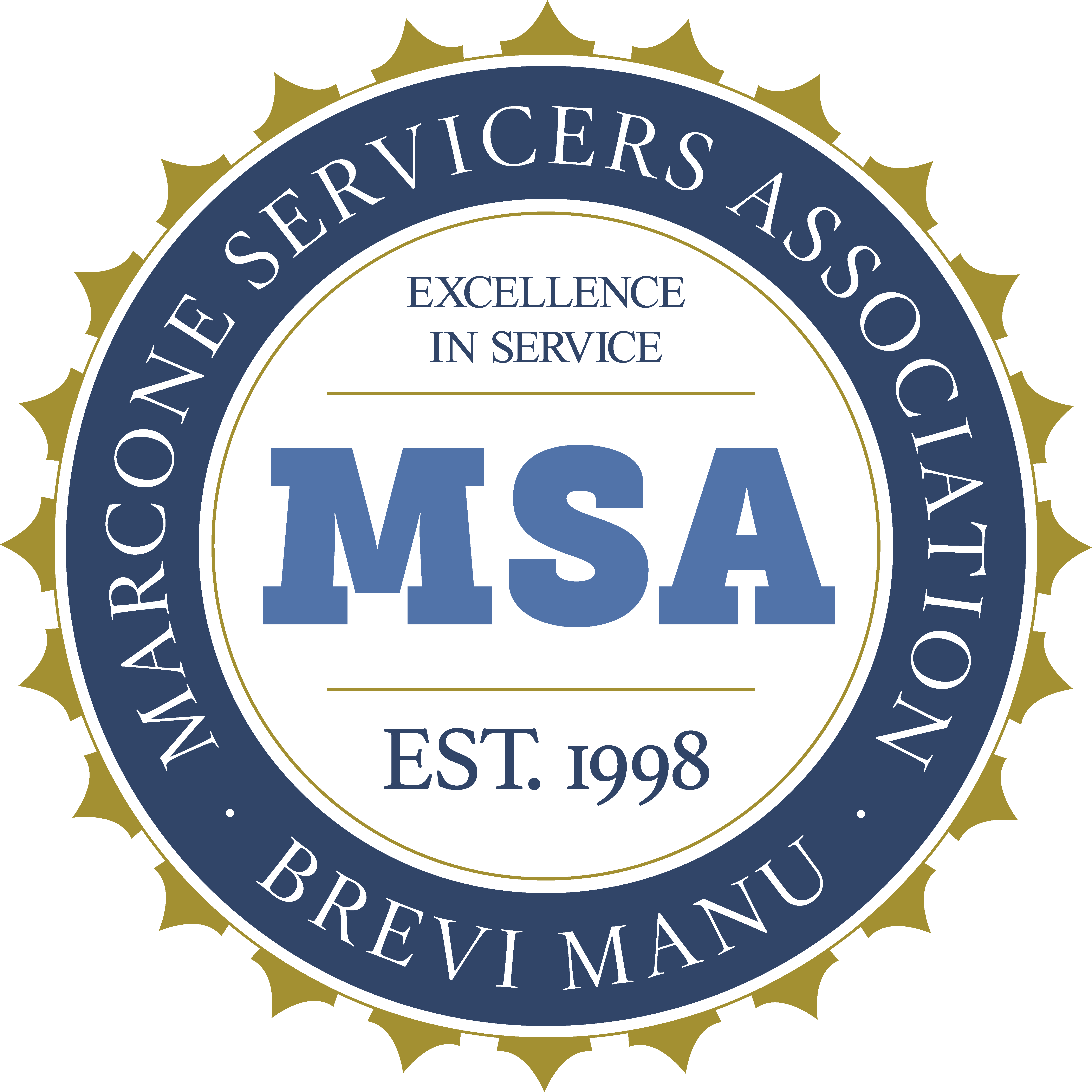 MSA Logo